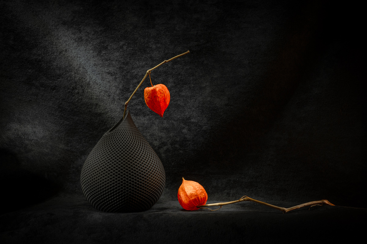 Этюд с физалисом IV