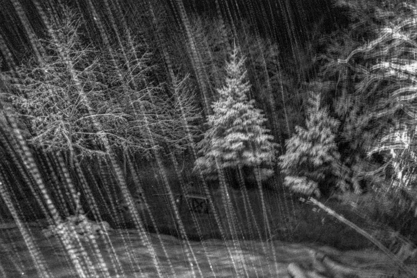 Жизнь вокруг