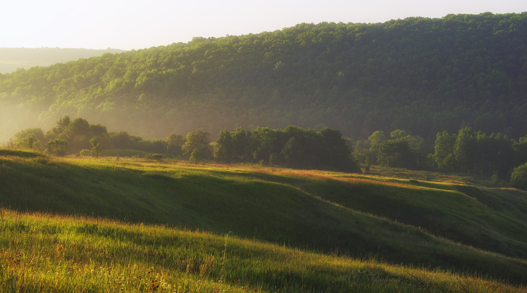 По долинам и по взгорьям стелится туман