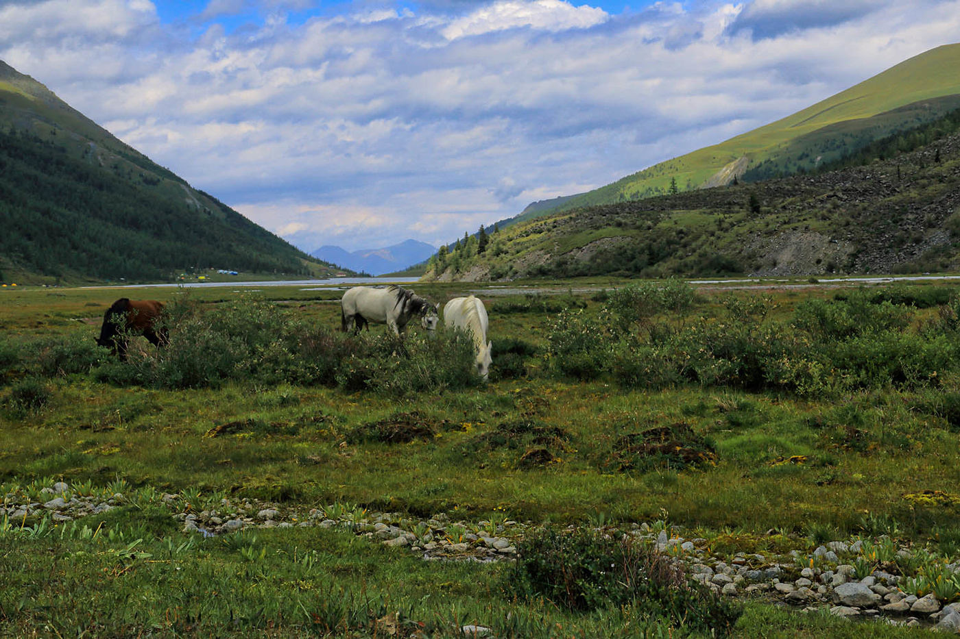 У Аккемского озера