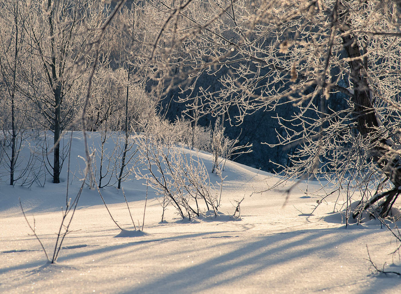 Однажды утром...