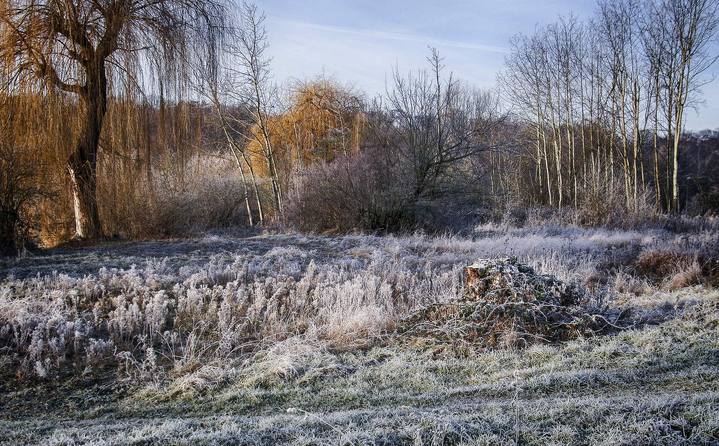 Первый морозец