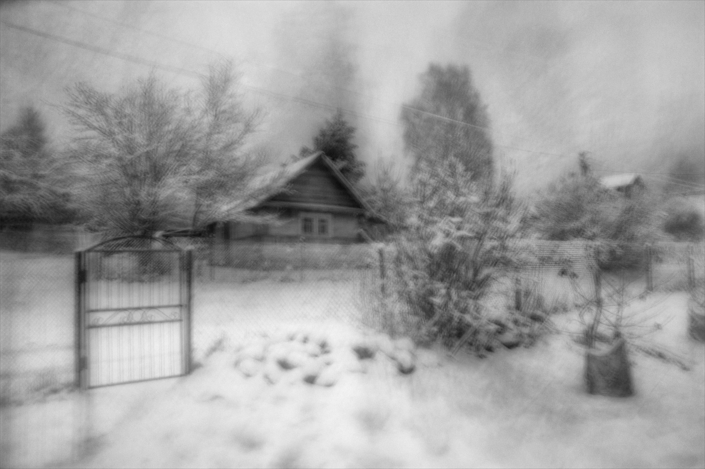 Жизнь вокруг