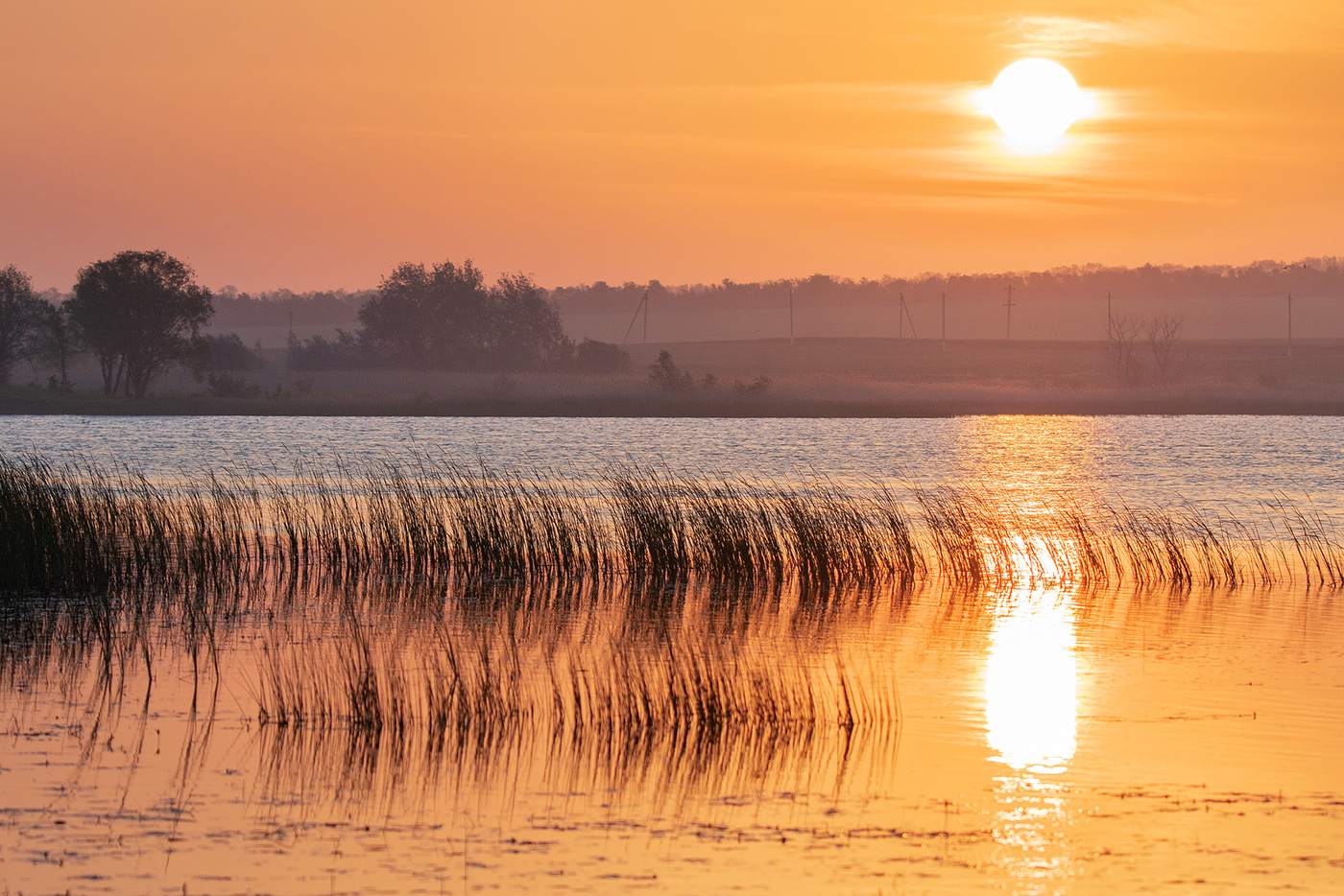 Доброе утро