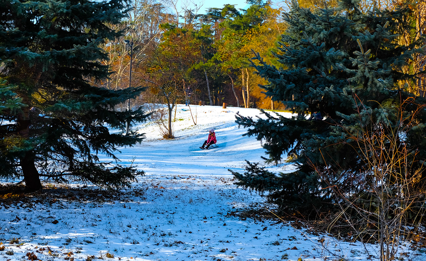 Зимняя забава