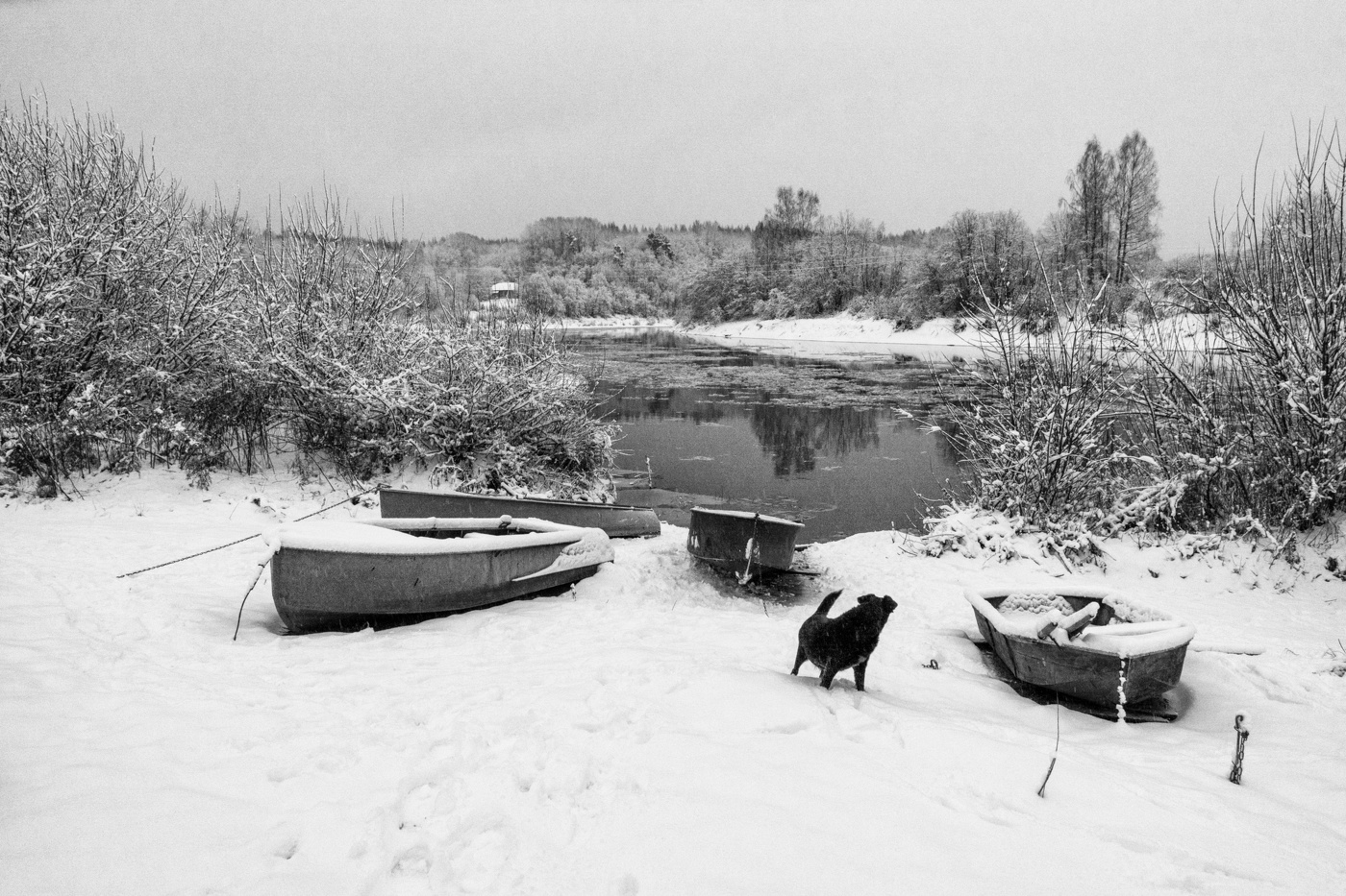 Пейзажизнь