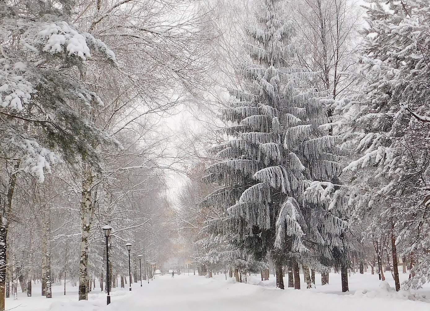 Зимний парк