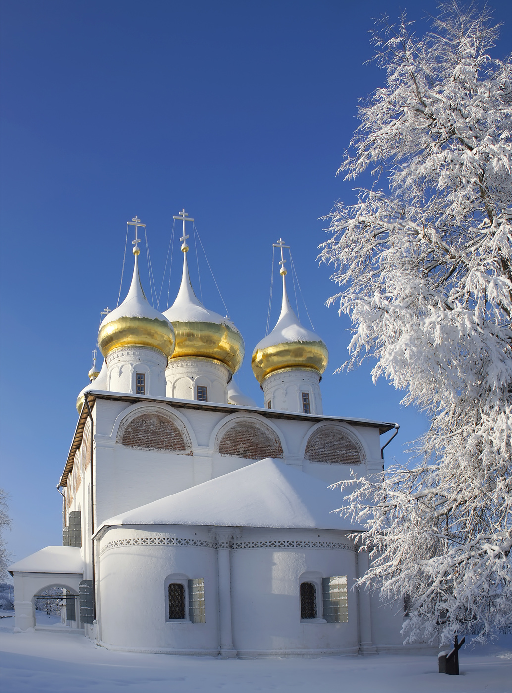 Утро на Рождество..
