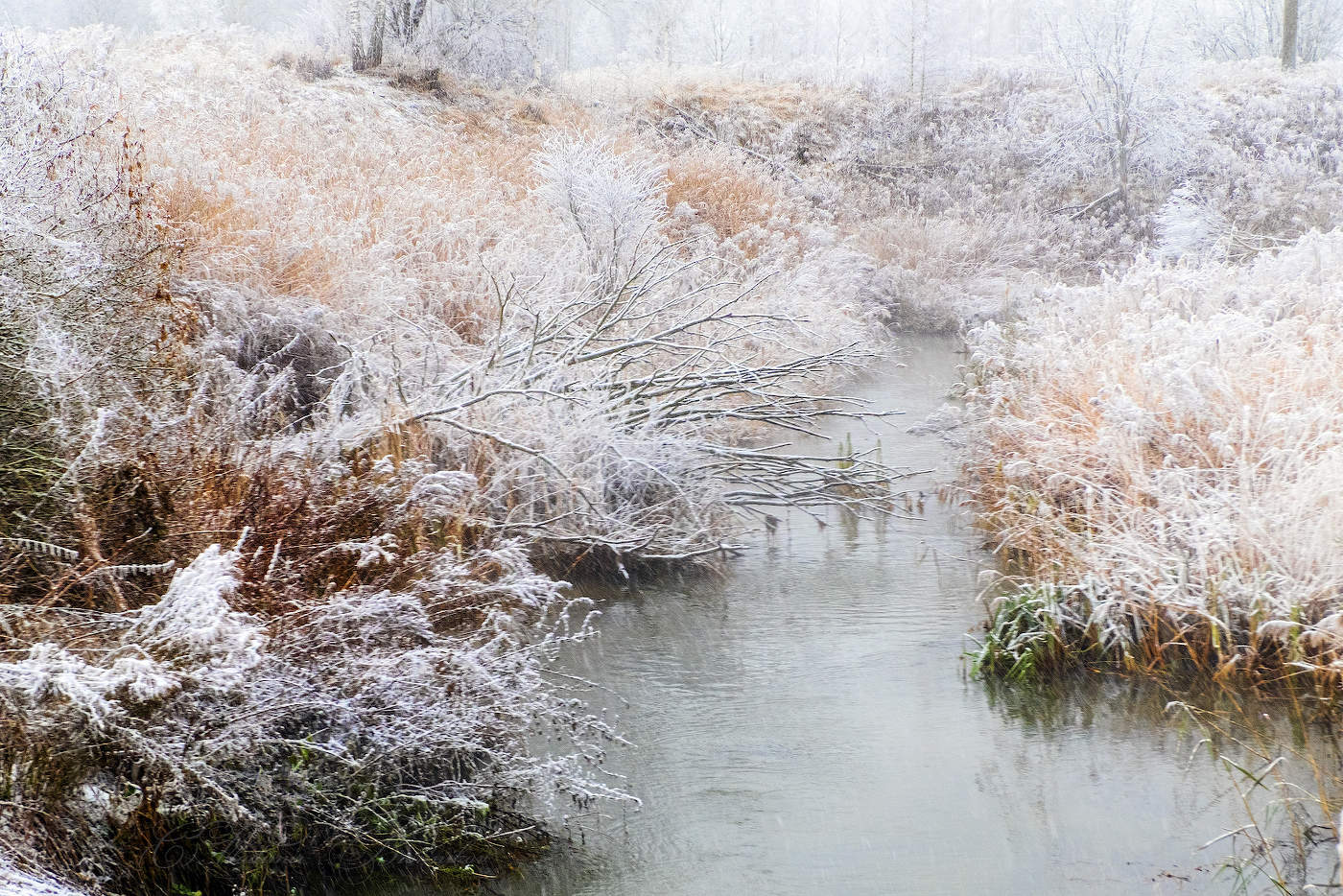 Запорошило