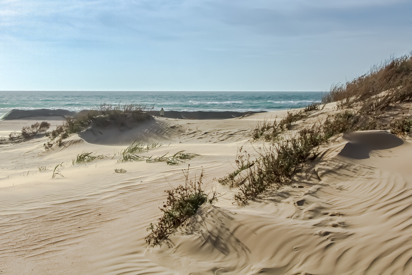 Выход к морю