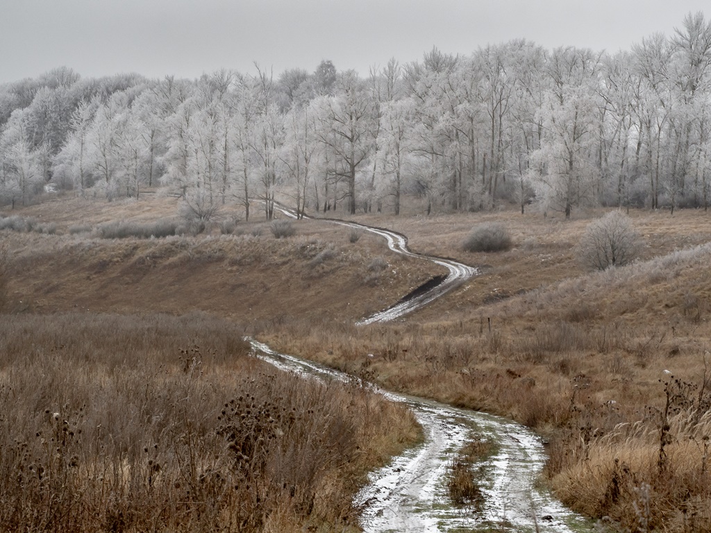 С Наступающим Новым годом!!!