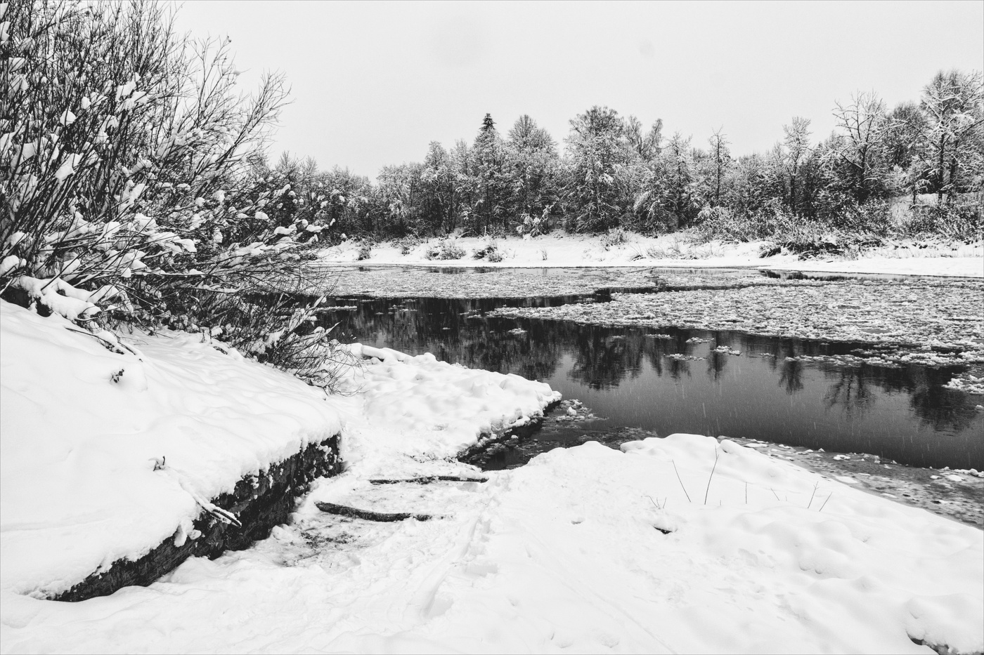 Жизнь вокруг