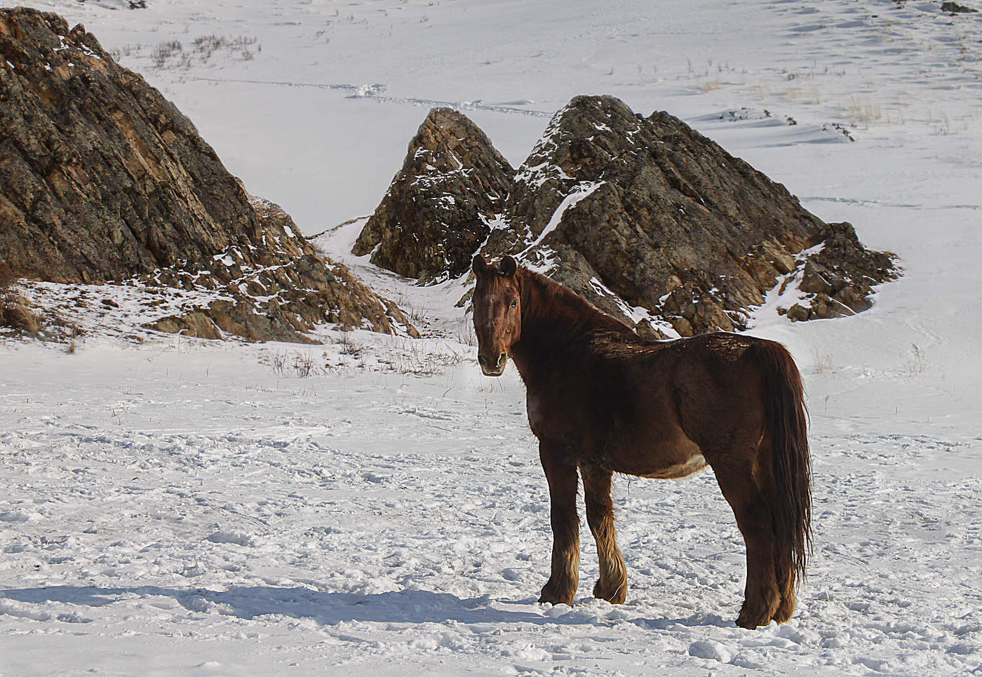 С Новым годом!