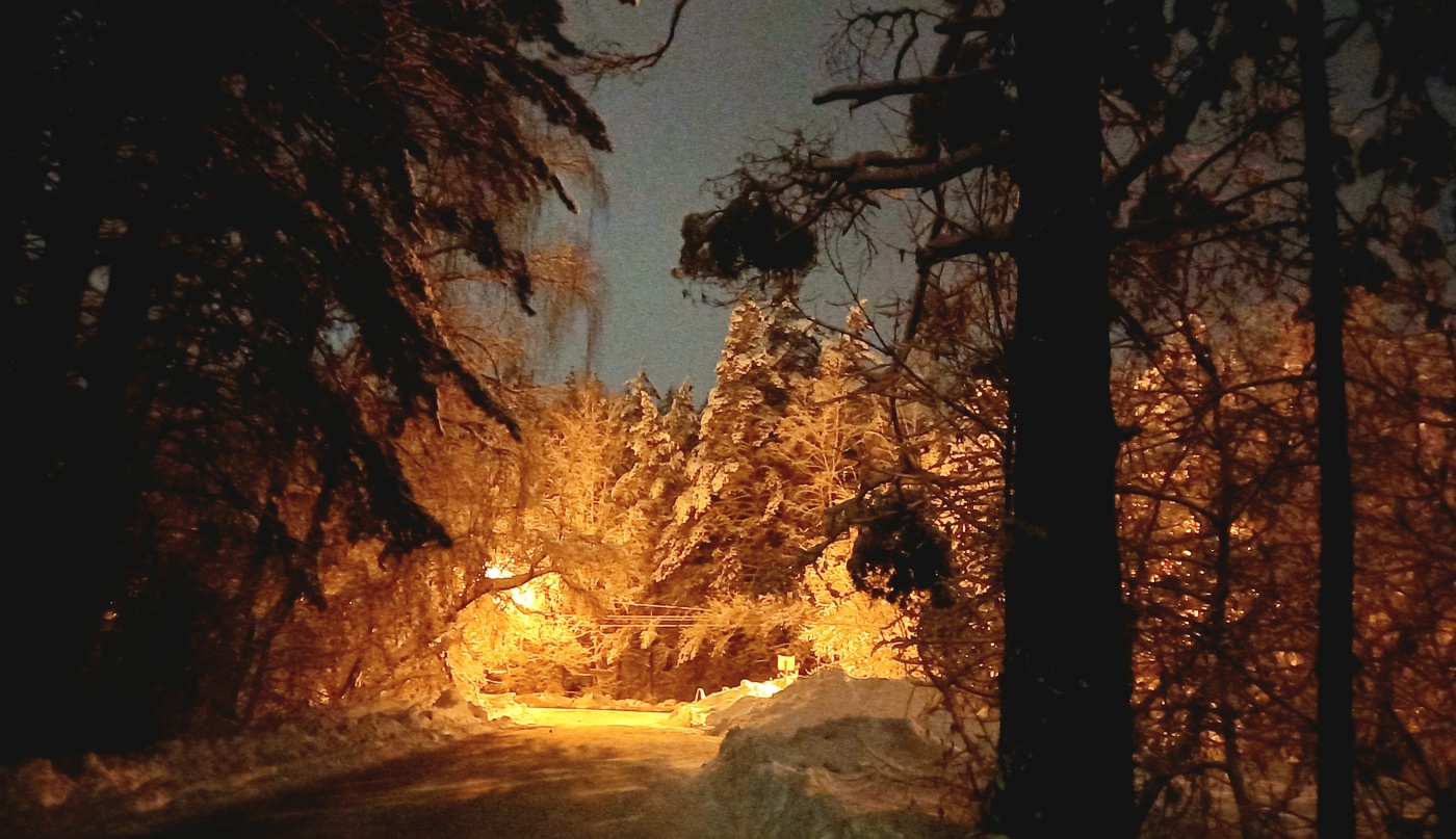 с новым годом!