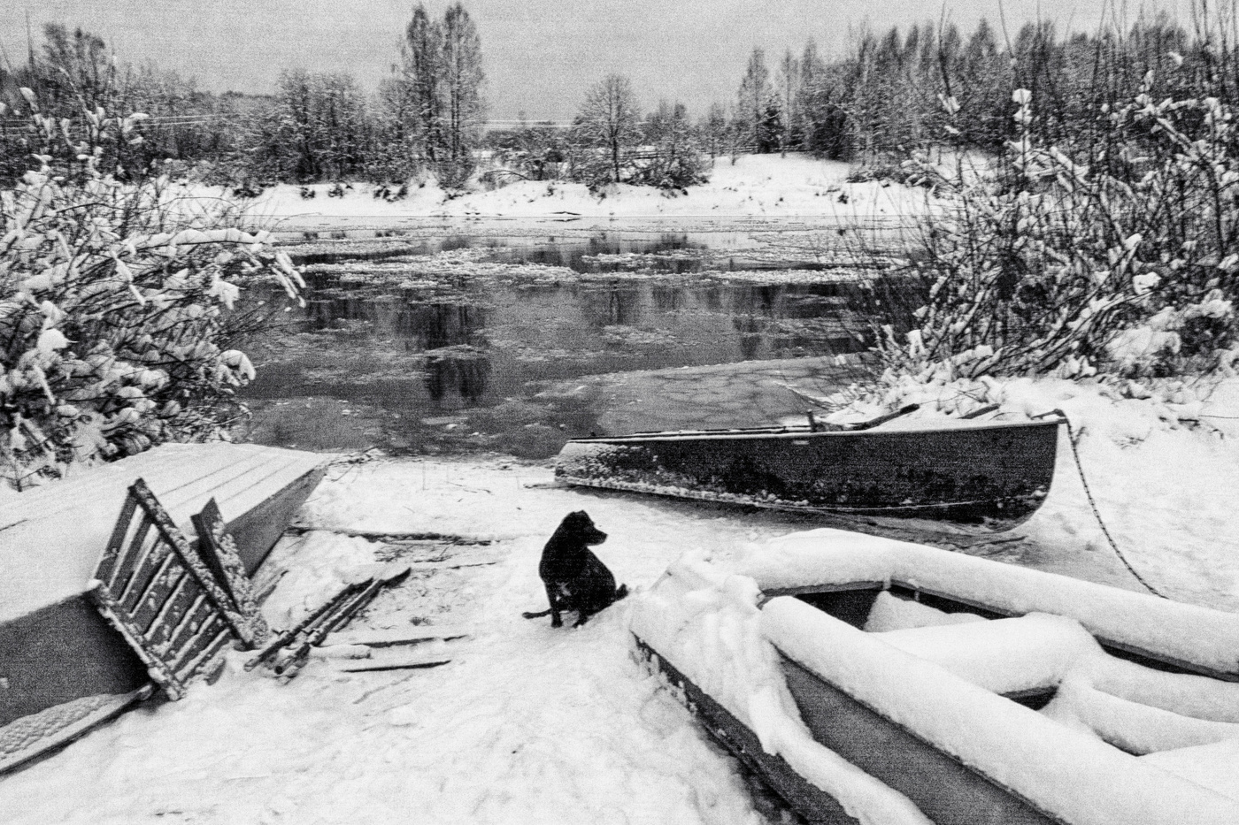 Пейзажизнь