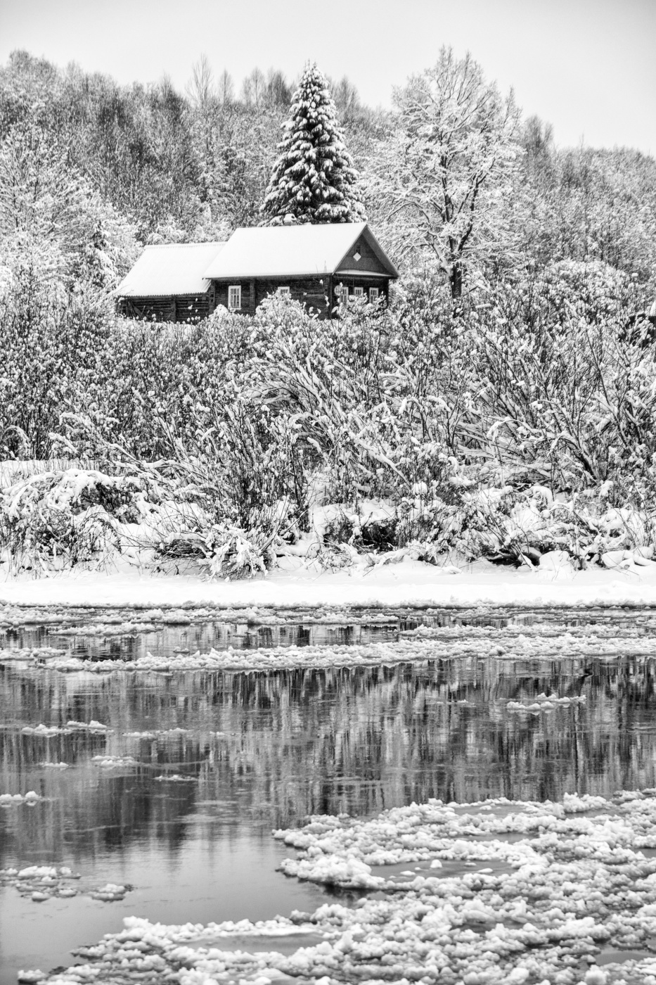 Жизнь вокруг