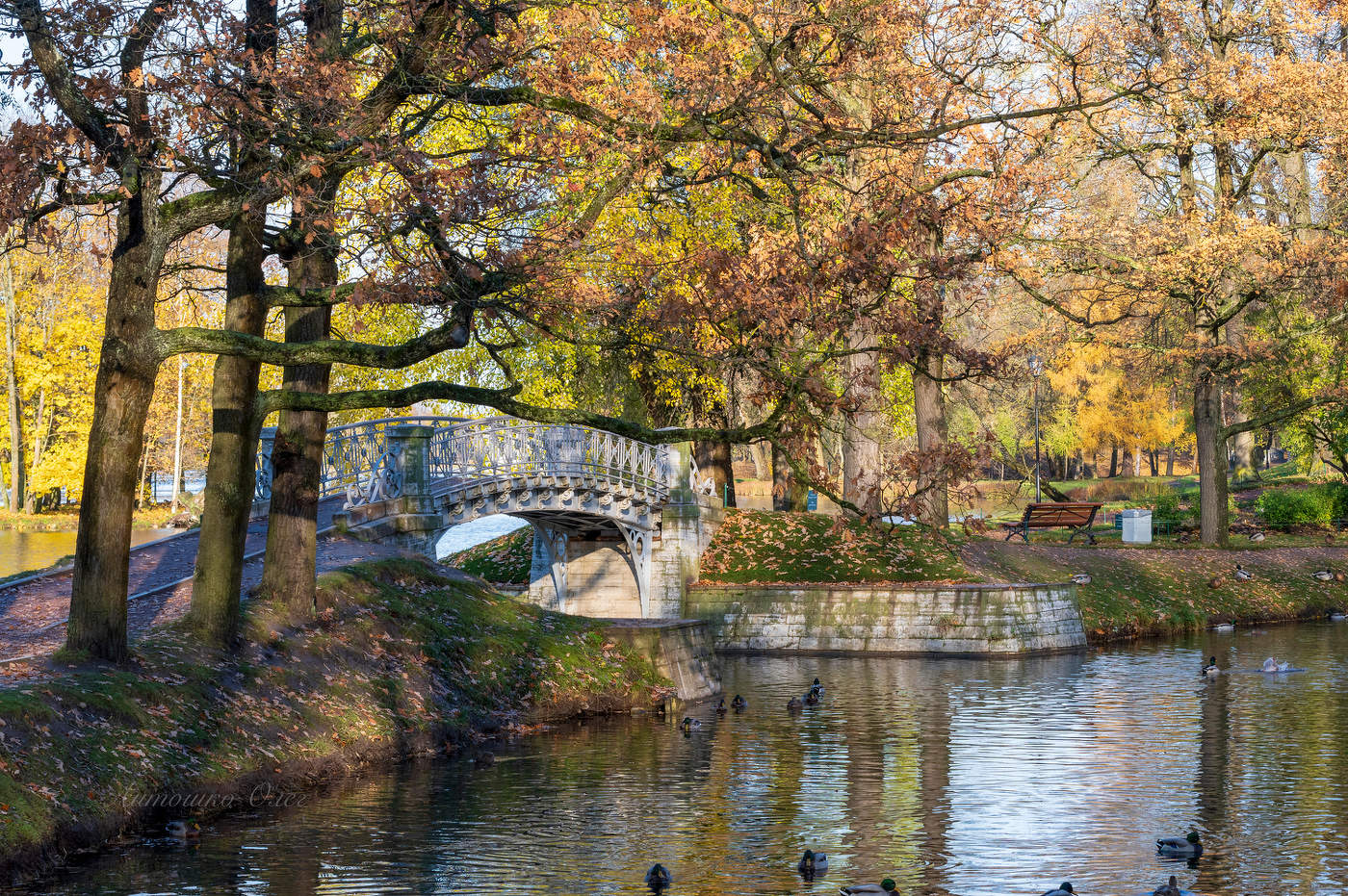 Дворцовый парк. Гатчина.