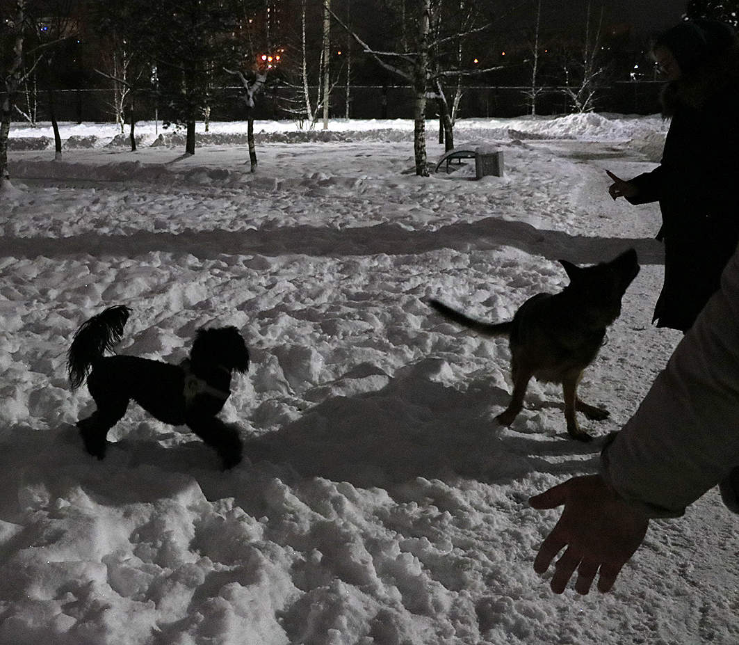 Театр теней