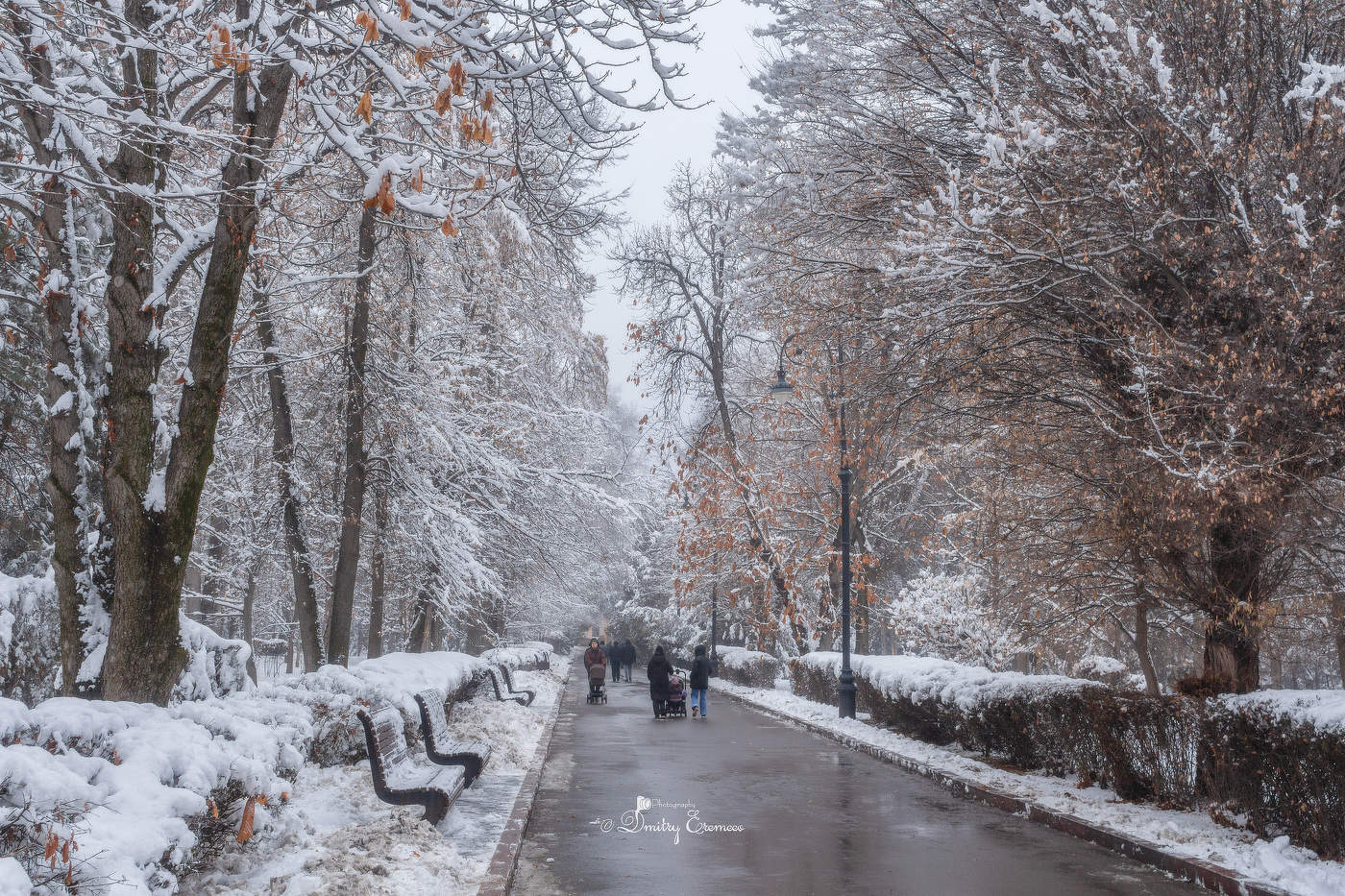 Когда парк засыпает под белым одеялом, просыпается сказка...