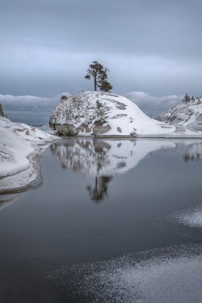 "Зимний Кит"