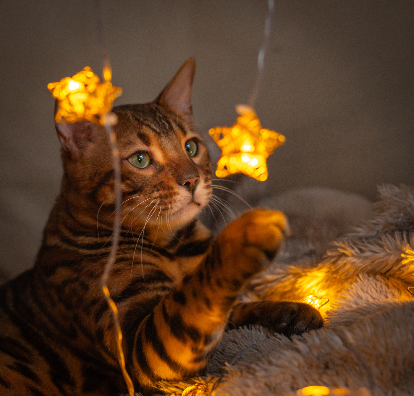 Новогоднее.