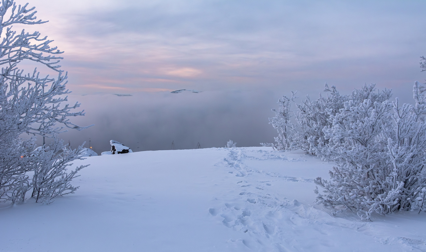 дальний берег за рекой тумана
