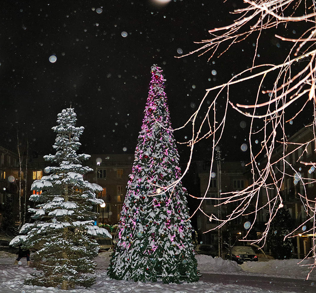 В Новогоднюю ночь