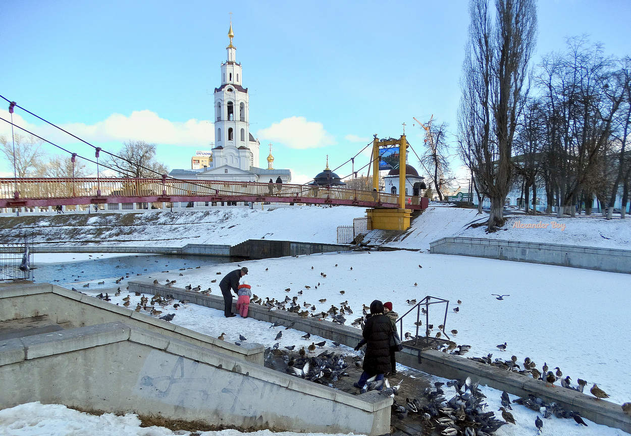 Столпотворение птиц в холод