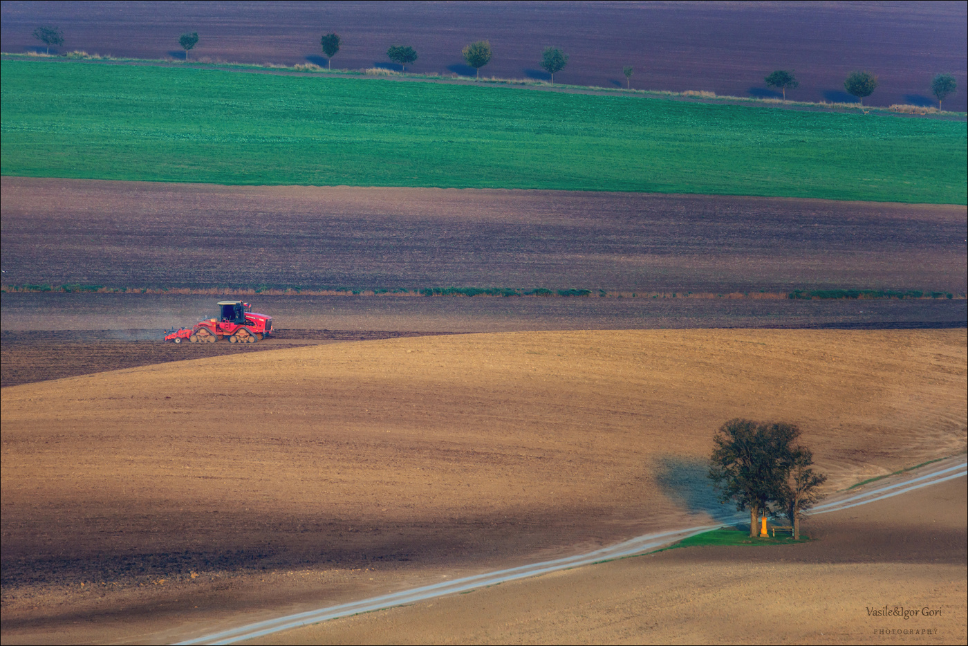 // ГУСЕНИЦА //