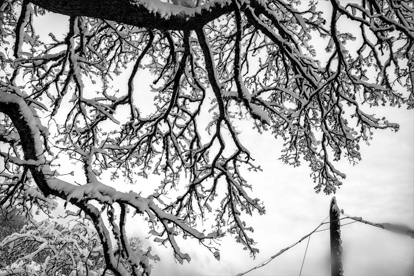 Жизнь вокруг