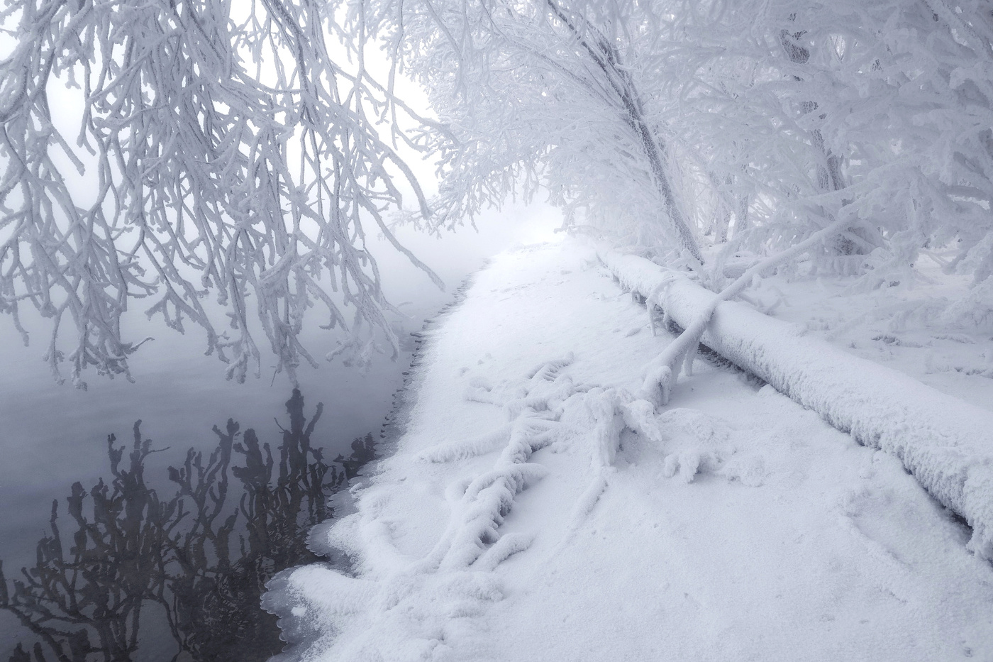 В морозном тумане