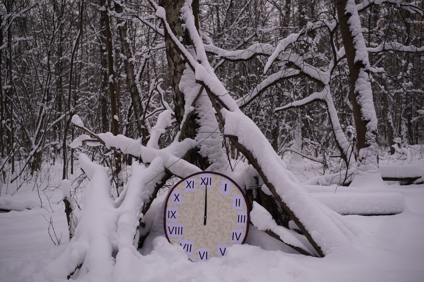 Новогоднее