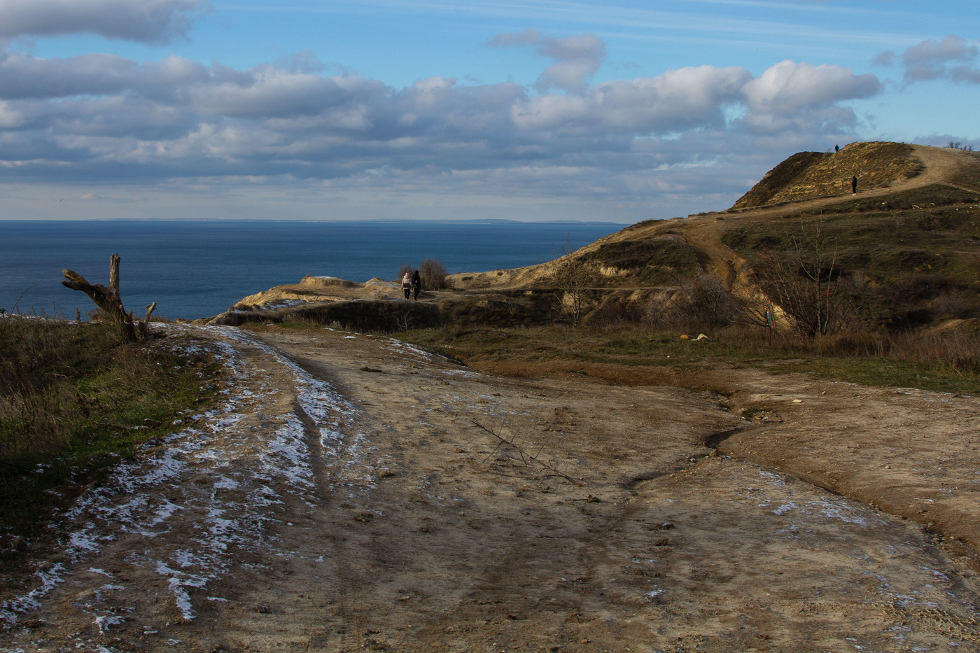 Январскими тропами