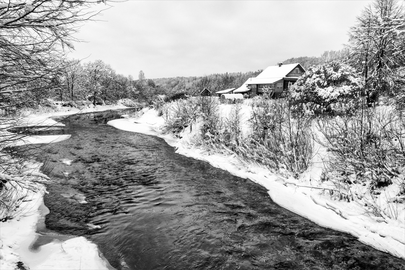 Жизнь вокруг