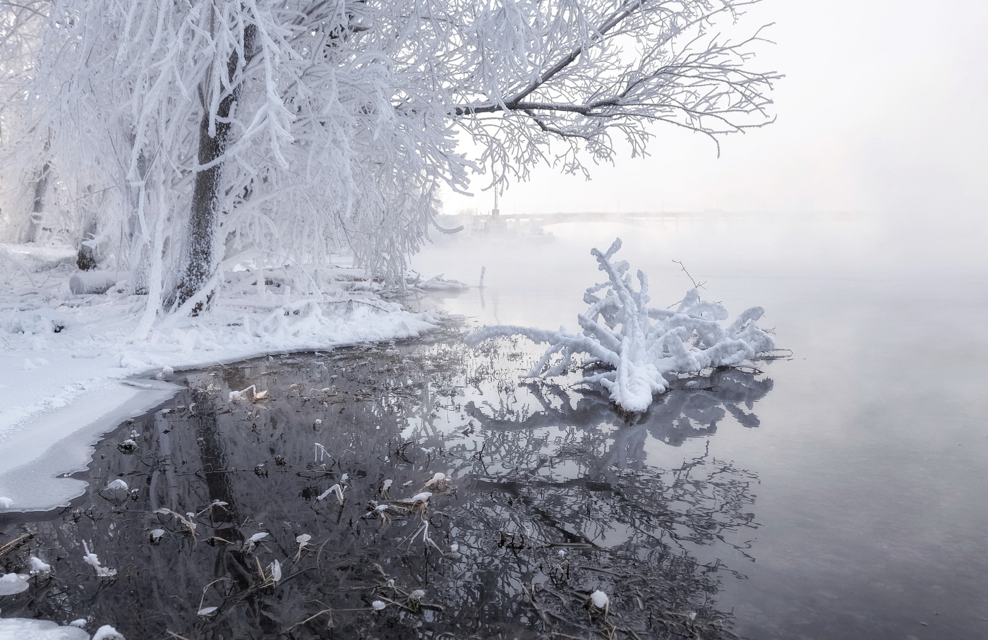 Снежный цветок