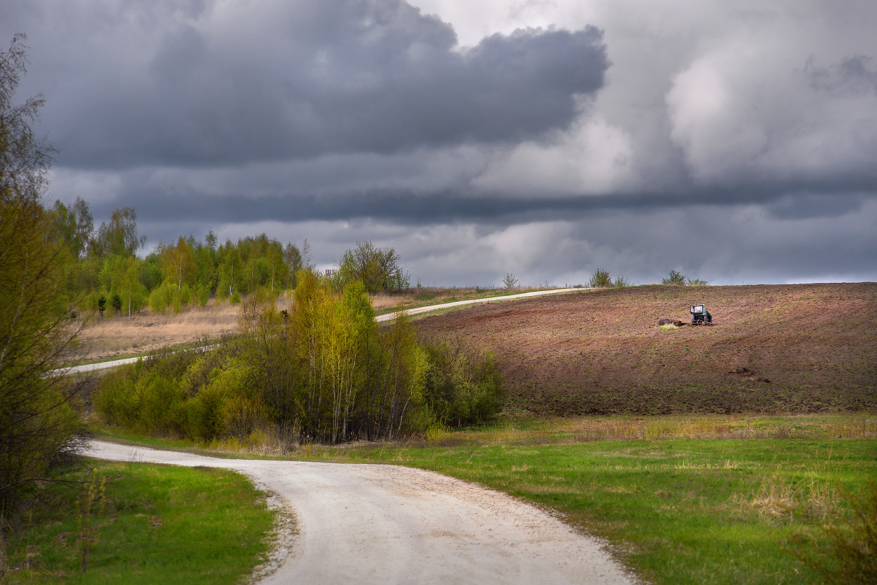 Весенний мотив