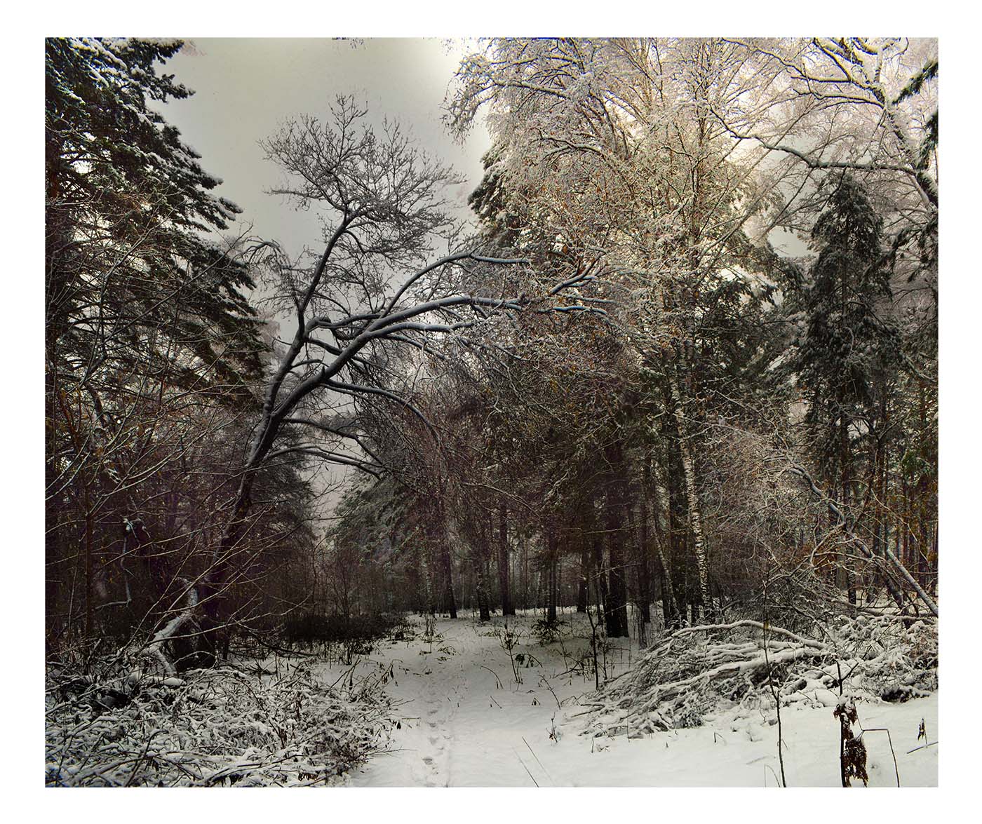 Первый снег