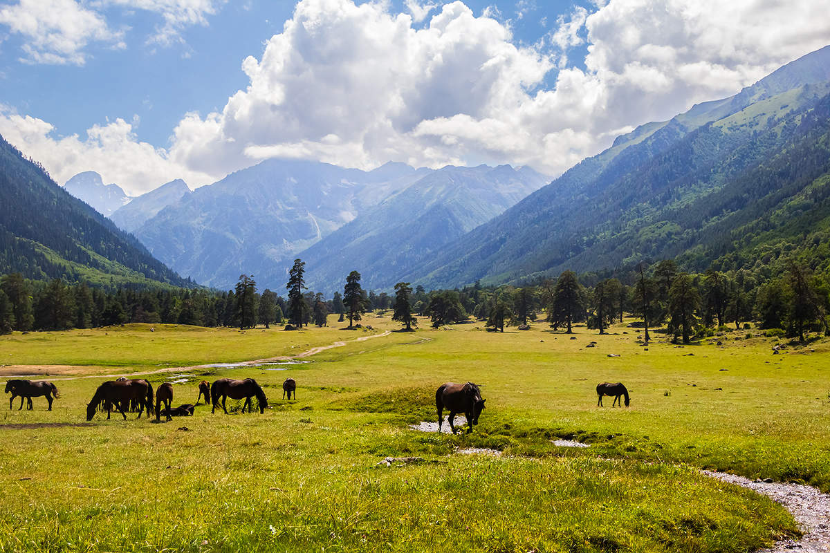 На просторе