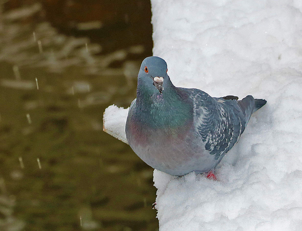 Ой, где это я?..