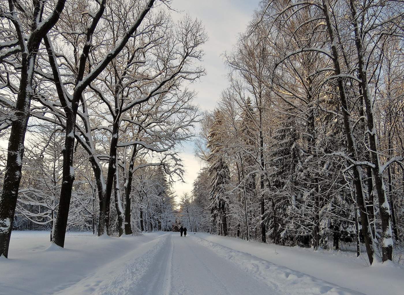 светлый день