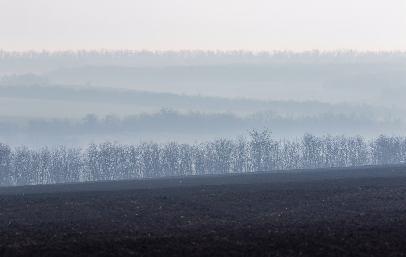 Предчувствие тепла