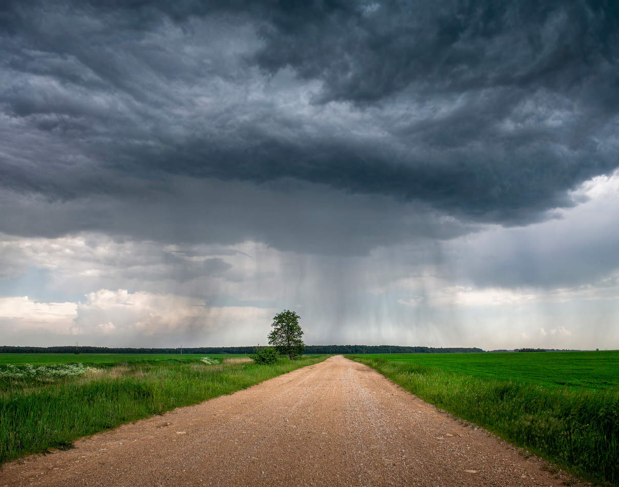 Дождик начинается