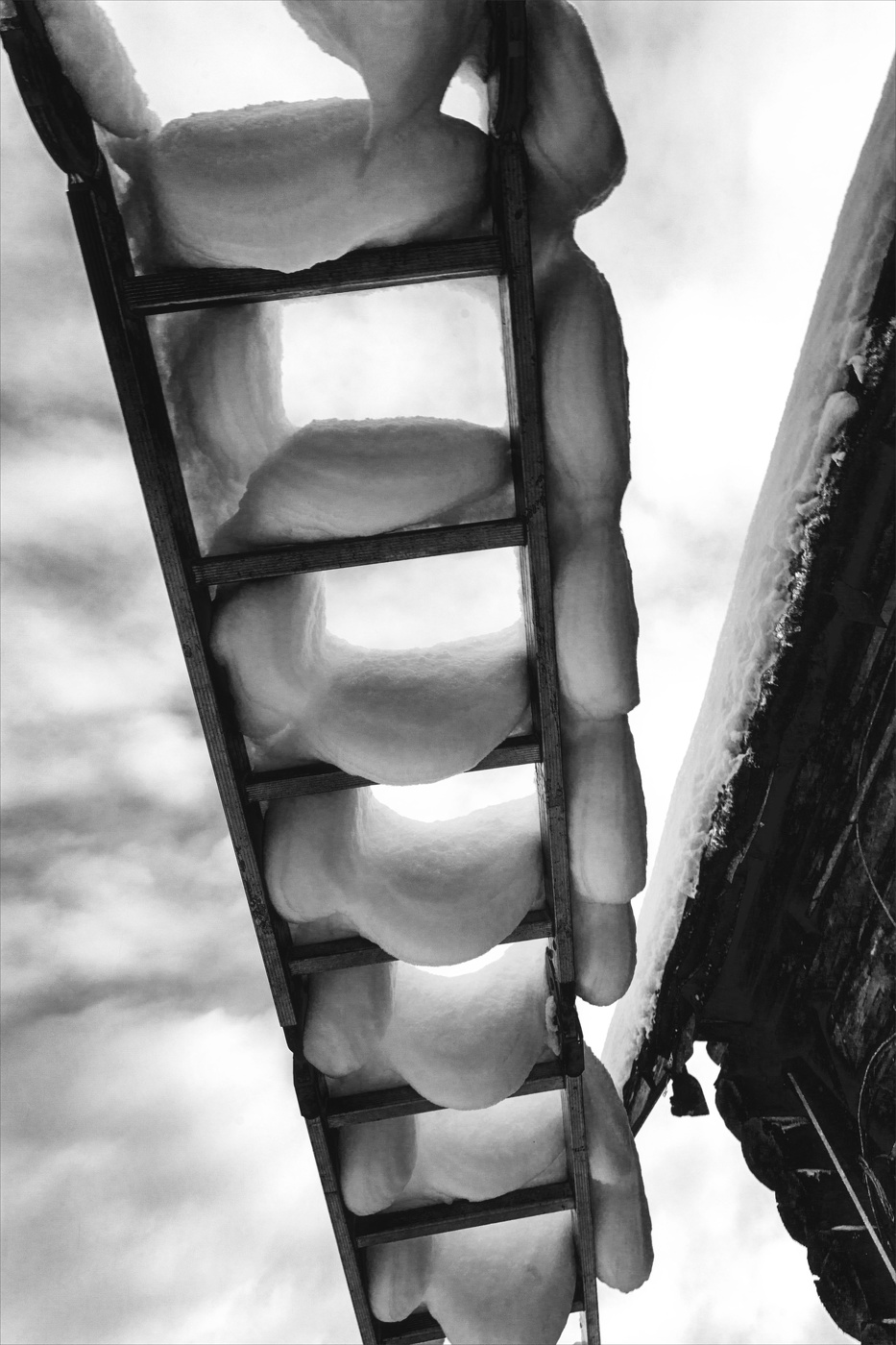 Жизнь вокруг