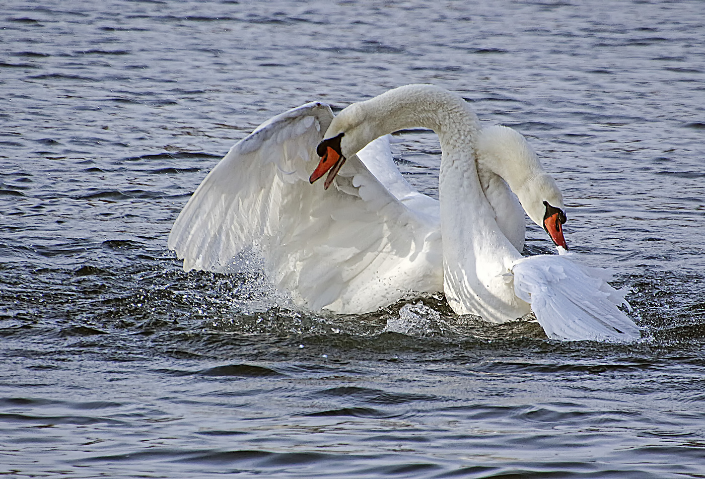 Слились воедино