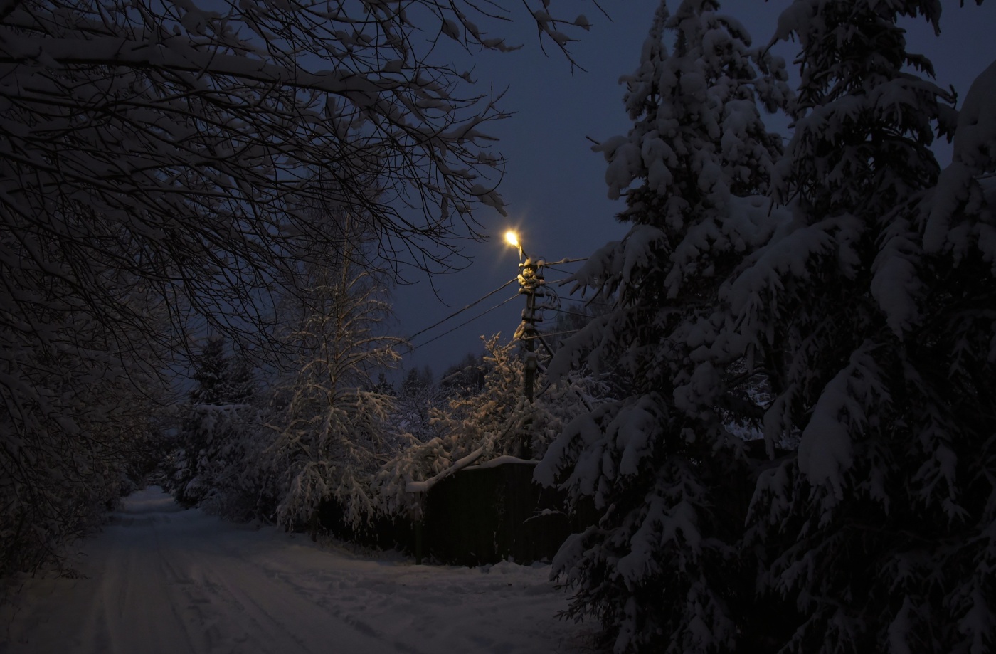 "Плывет в тоске необъяснимой ночной фонарик нелюдимый..."