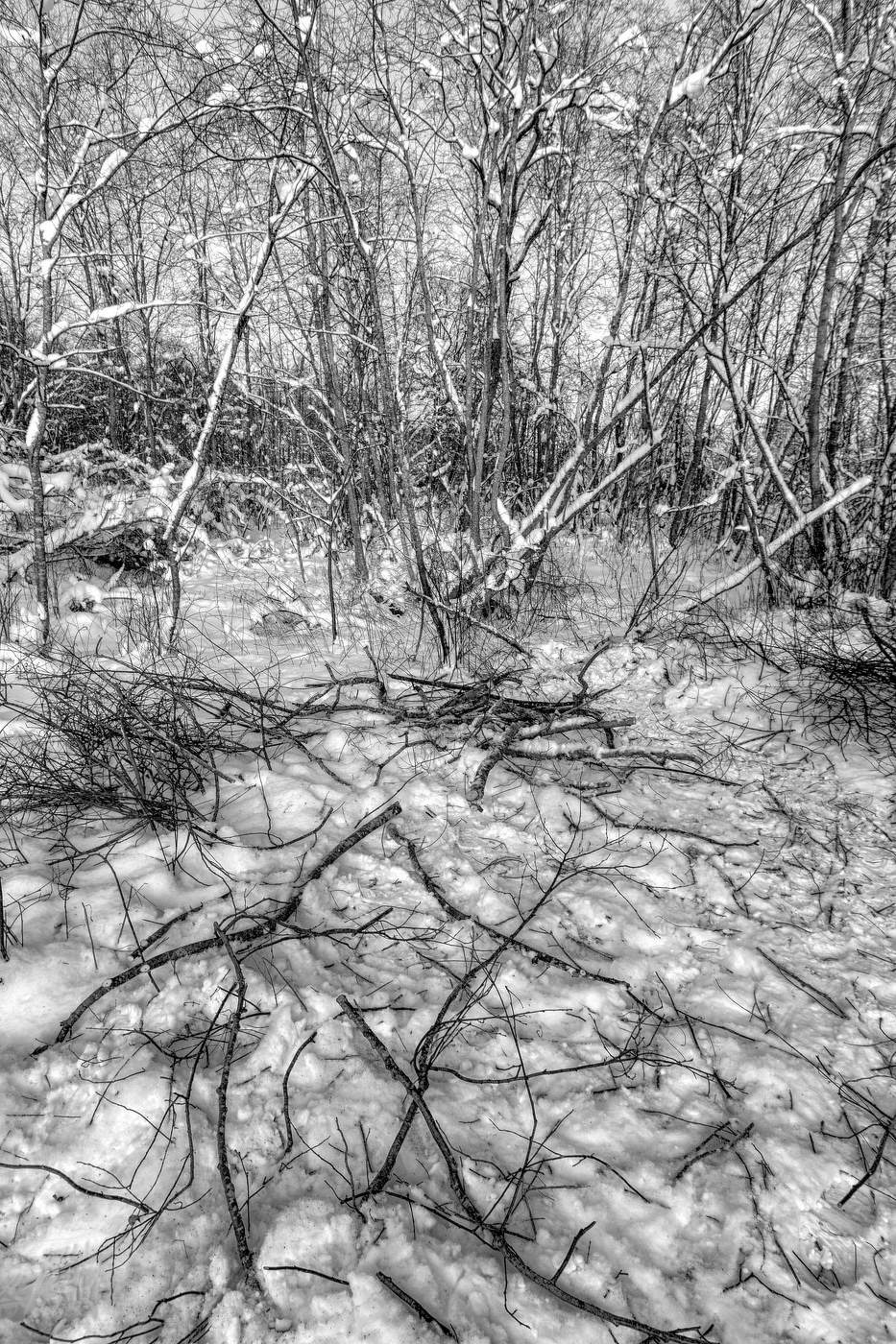 Жизнь вокруг