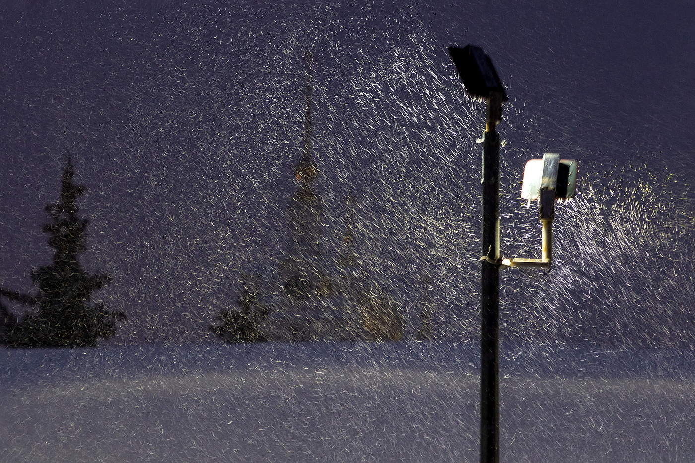 Запуржило - заметелило.