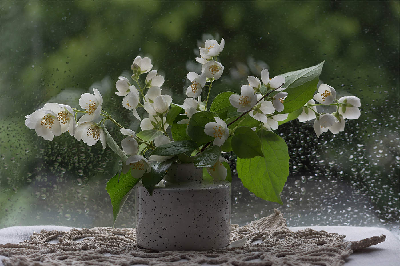 Июньский натюрморт с жасмином...