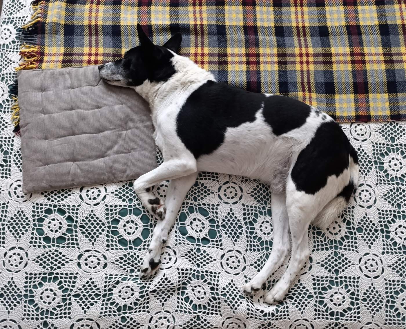 Если бы можно было лежать сильнее