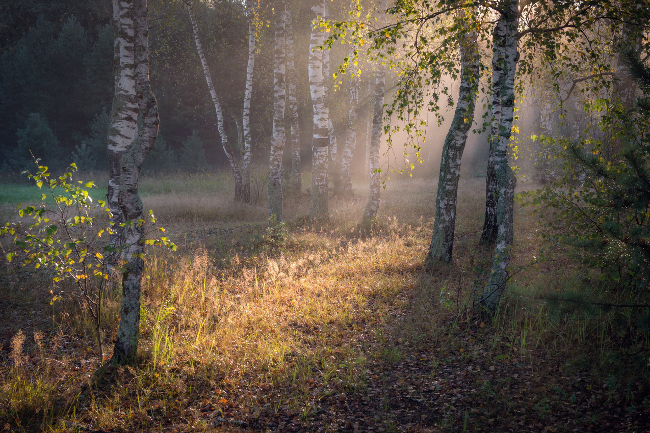 На солнечной полянке.